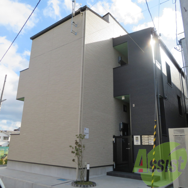 Alstroemeria（アルストロメリア）の外観