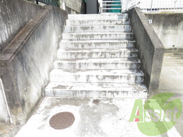 前面道路、建物周り等 前面道路、建物周り等