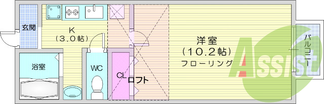 1k、室内洗濯機置場、フローリング、ロフト