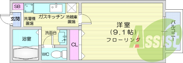 1K、BSアンテナ、室内洗濯機置場、ロフト