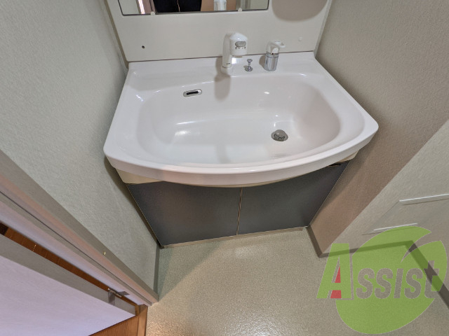 シャンプードレッサー付きなので忙しい朝の支度に便利です。 シャンプードレッサー付きなので忙しい朝の支度に便利です。