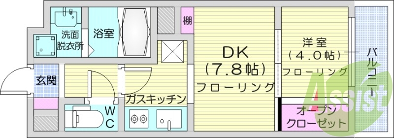 1ＤＫ、エアコン、オートロック、シャンプードレッサー