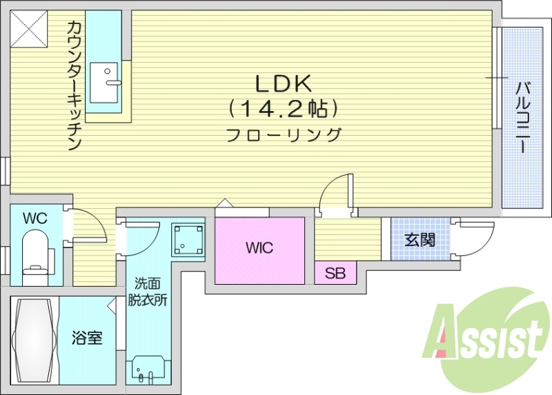 1R、バルコニー、南向き、ウォークインクローゼット