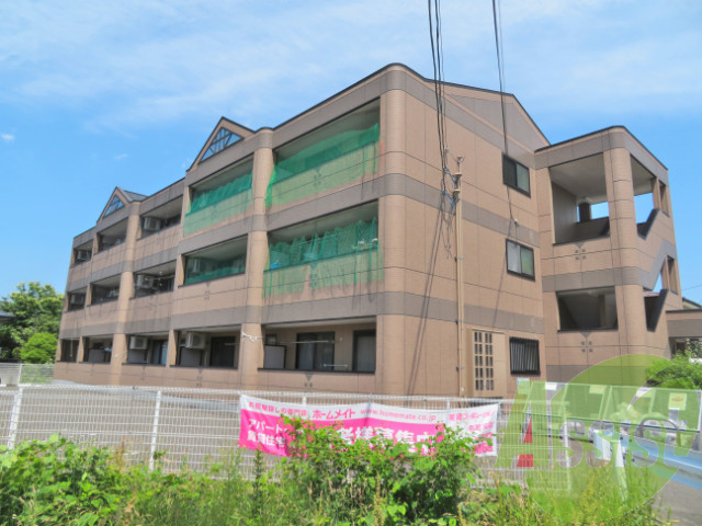 ヴィンテージ桜の外観