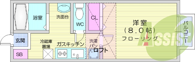 1K、バストイレ別、室内洗濯機置き場、ロフト