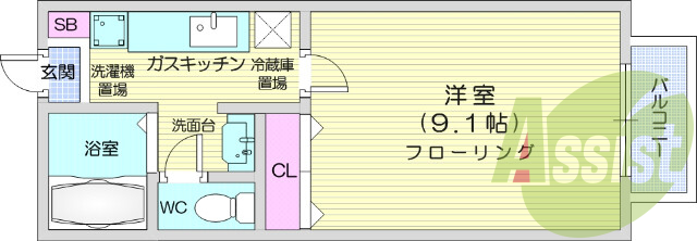 1K、BSアンテナ、室内洗濯機置場、ロフト