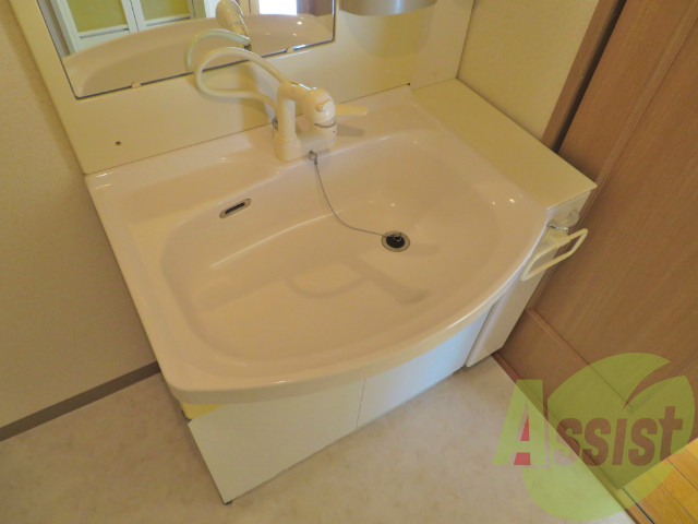 洗面台は嬉しいシャンプードレッサー付きです。 洗面台は嬉しいシャンプードレッサー付きです。