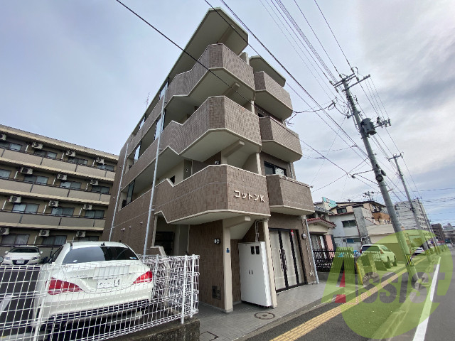コットンKの外観