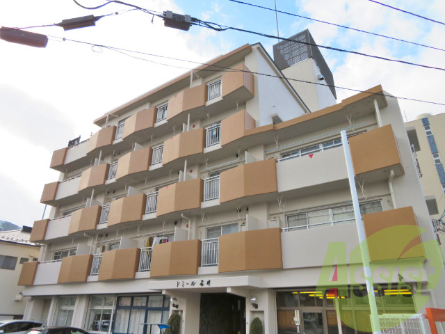 ドミール石川