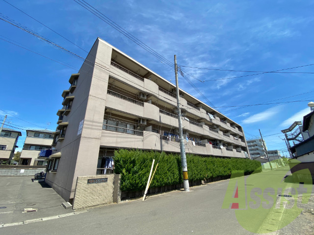 仙台市宮城野区宮千代２丁目の賃貸マンションの外観