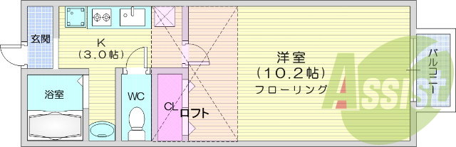 1k、室内洗濯機置場、フローリング、ロフト