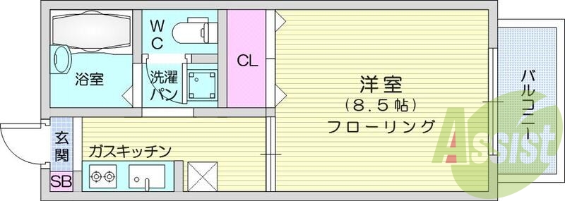 １Ｋ、収納、セパレート、バルコニー、洋室、室内洗濯パン
