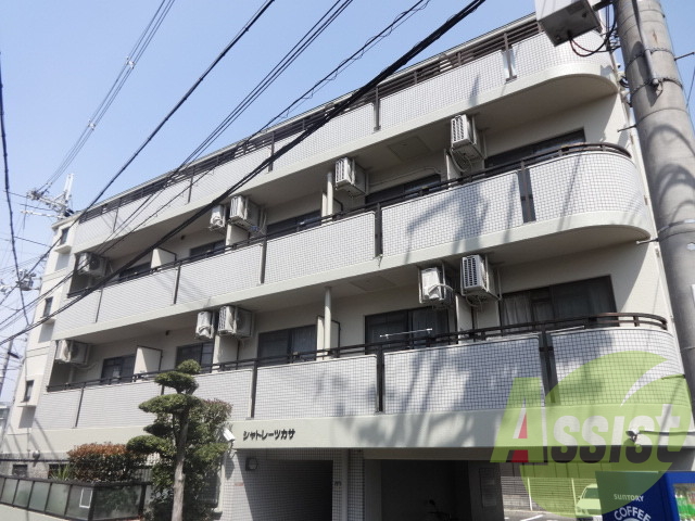 シャトレー・ツカサ