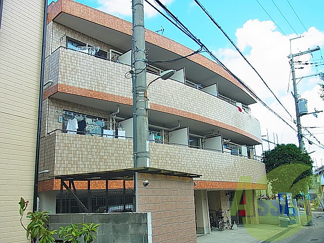 ラフレシア曽根