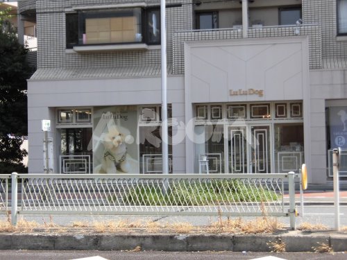 【動物病院】LuLu animal clinic(ルル アニマル クリニック)まで609m 【動物病院】LuLu animal clinic(ルル アニマル クリニック)まで609m