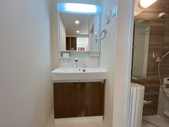 洗面(イメージ) 洗面(イメージ)