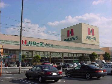 【スーパー】ハローズ 大門店まで499m 【スーパー】ハローズ 大門店まで499m