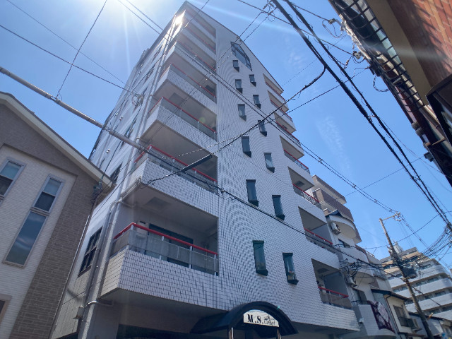 MSコート