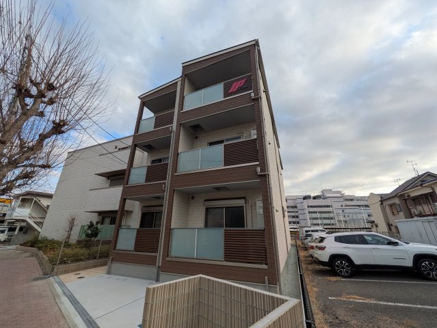 Ｆ asecia aloeの外観