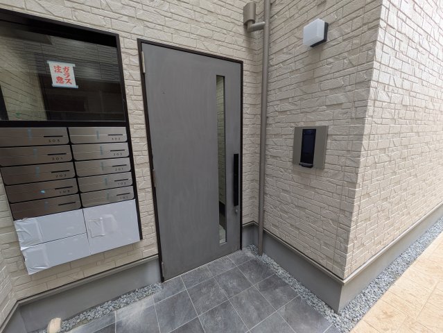 Ｆ asecia aloeの外観