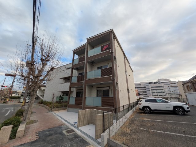 Ｆ asecia aloeの外観