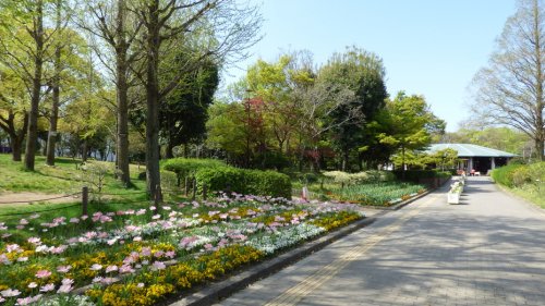 【公園】上坂部西公園 (尼崎市都市緑化植物園)まで409ｍ