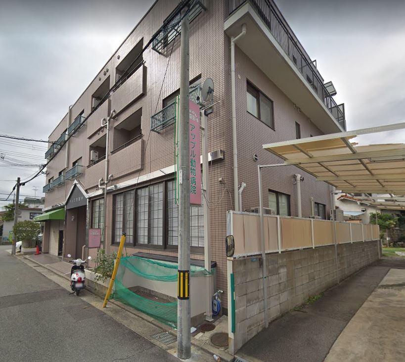 【動物病院】アップル動物病院まで1197ｍ