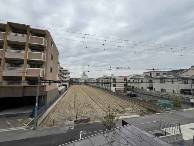 展望