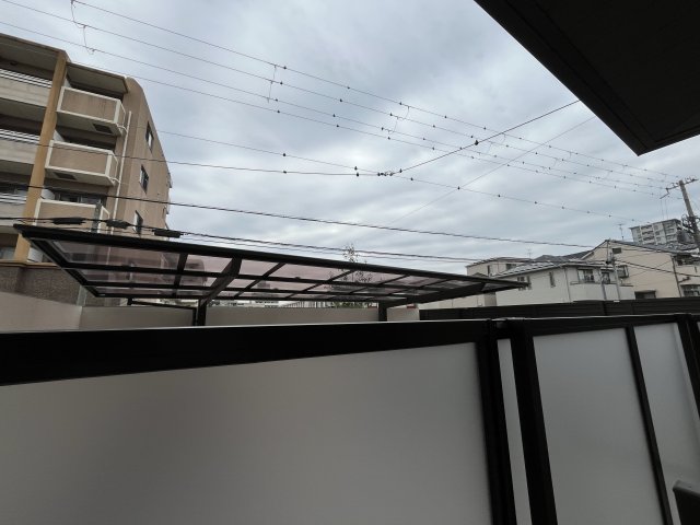 展望