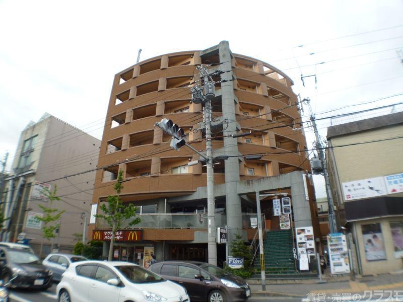 GATO D.M北山