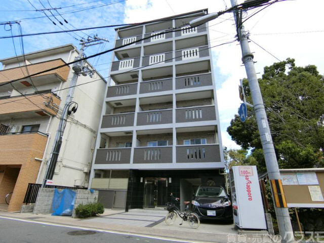 アメイジング桂