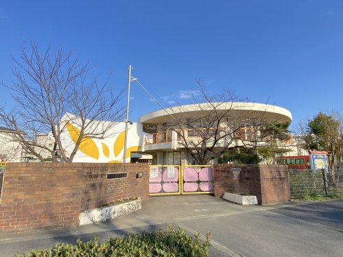 【幼稚園】高石市立加茂幼稚園まで568ｍ