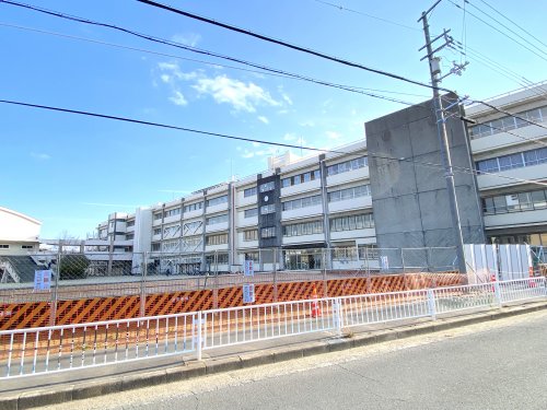 【小学校】高石市立加茂小学校まで408ｍ