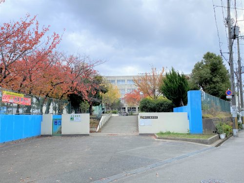 【中学校】堺市立鳳中学校まで1543ｍ