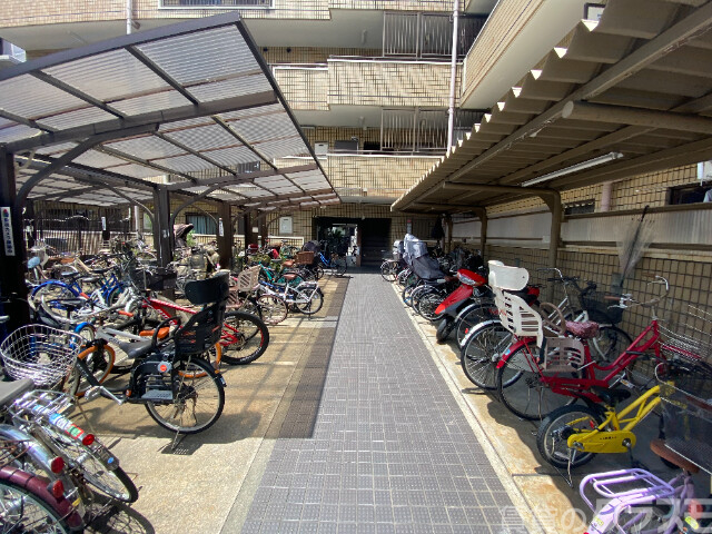 屋根付きの駐輪場なので雨でも心配なし♪