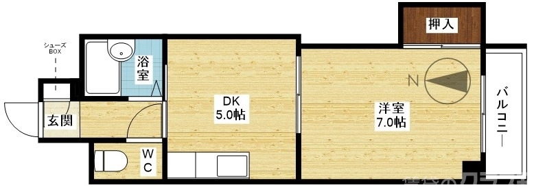 南向きの1DKタイプ♪