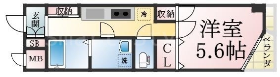 三点セパレート☆