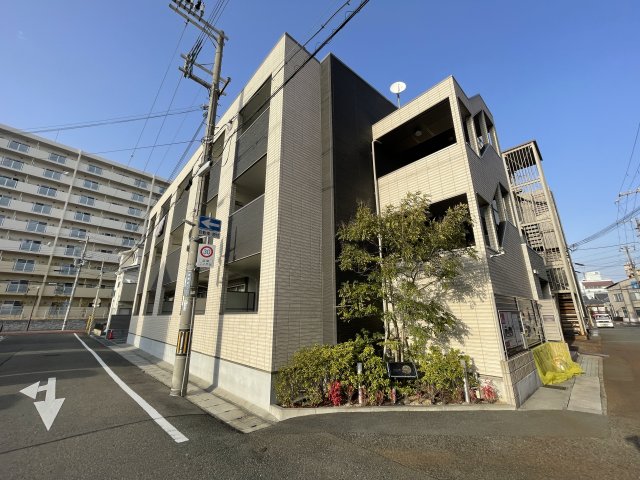 ルネドールマノ
