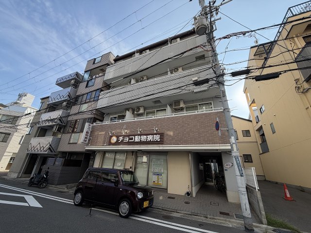 カーサニチエー