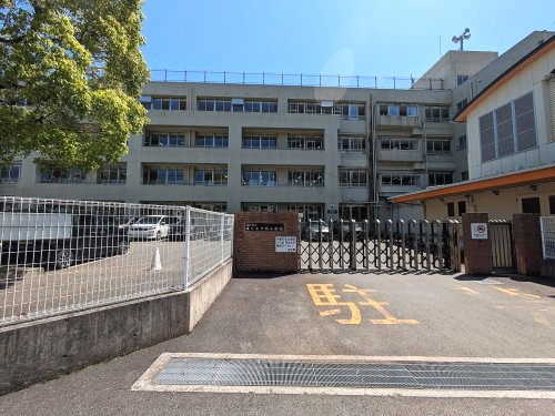 【小学校】高知市立はりまや橋小学校まで555ｍ