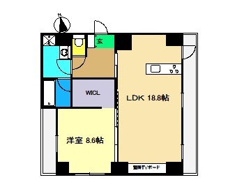 2020年1月撮影分