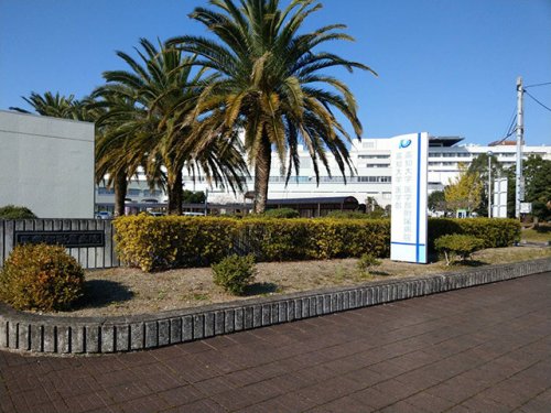 【大学】国立高知大学岡豊キャンパスまで3074ｍ