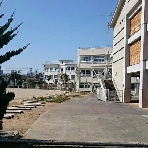 【小学校】高知市立潮江東小学校まで803ｍ