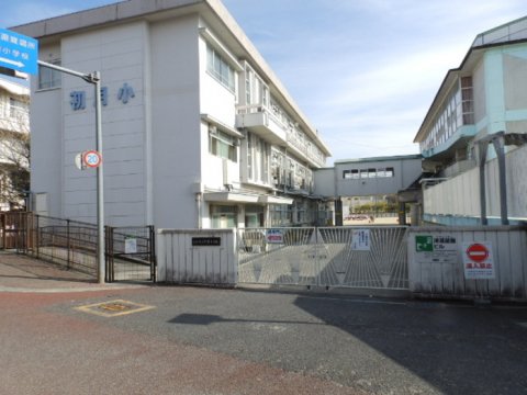 【小学校】高知市立初月小学校まで233ｍ