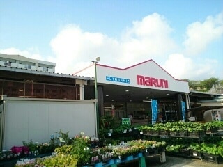 【ホームセンター】ホームセンターマルニ旭店まで567ｍ