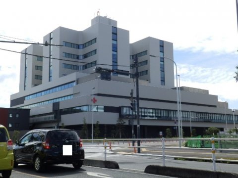【総合病院】高知赤十字病院まで779ｍ