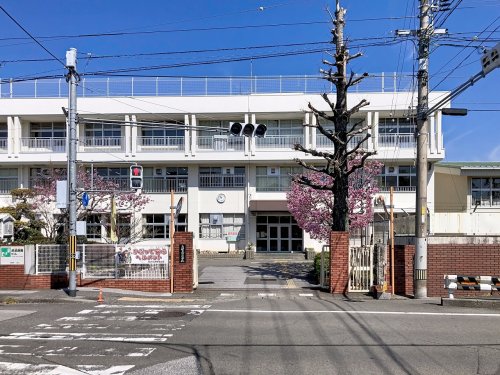 【小学校】高知市立江ノ口小学校まで537ｍ