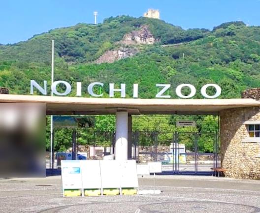 【動物園】高知県立のいち動物公園まで5648ｍ