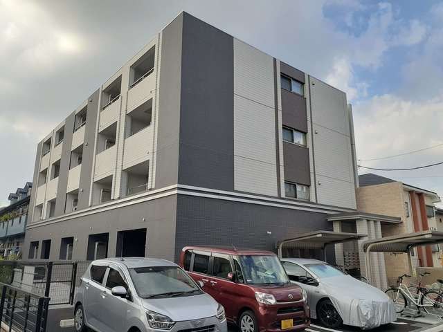 Ａｐｒｉｃｏｔの外観