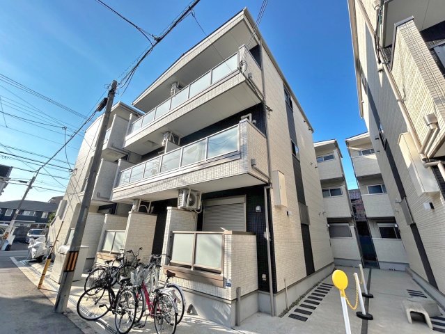 F asecia stibの外観